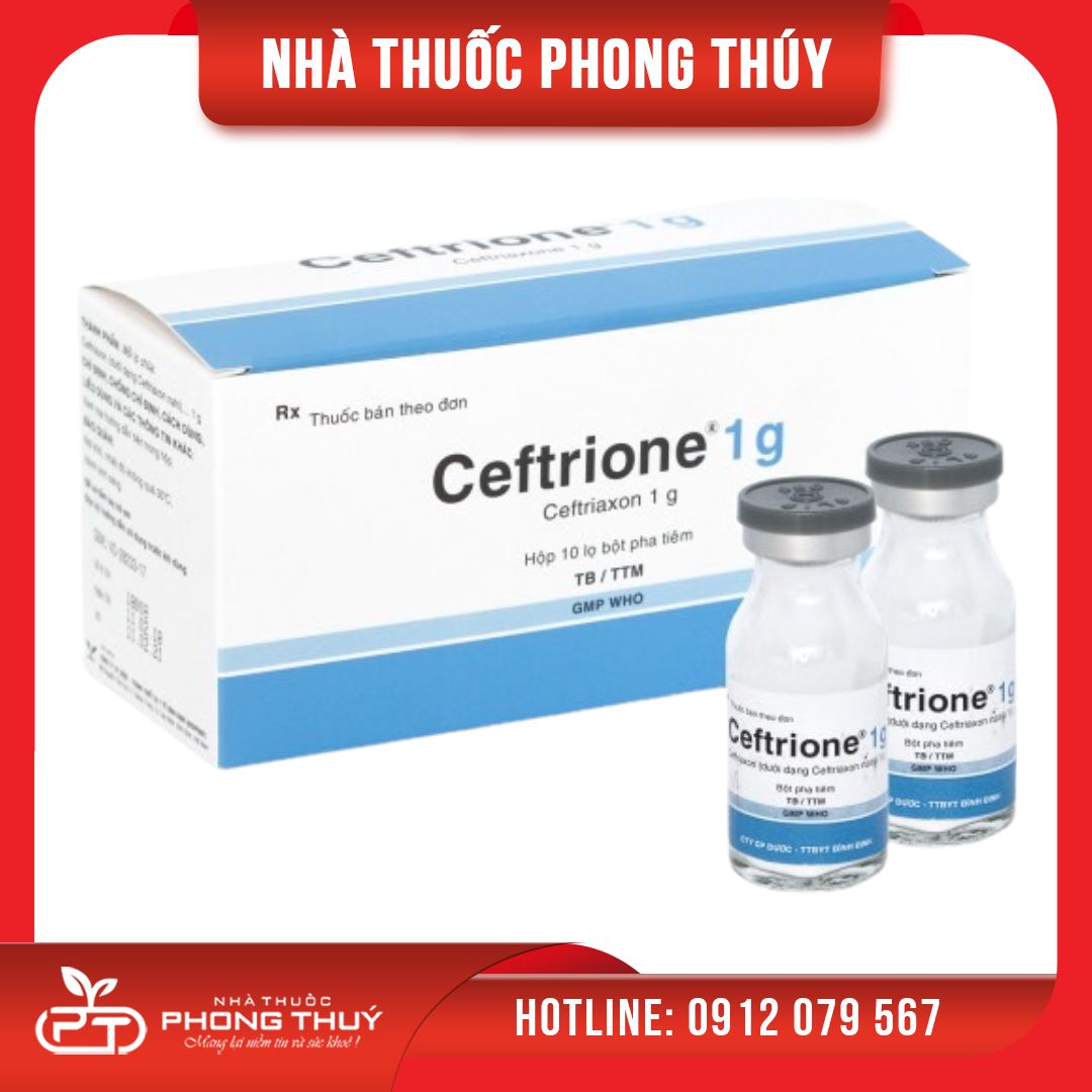 Thuốc kháng sinh điều trị các bệnh nhiễm khuẩn Ceftrione 1g (10 lọ ...